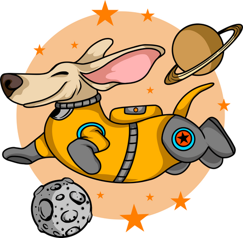 Animal 11 Fun Gift Poster Canvas Print A0 A1 A2 A3 A4 A5 A6 Art Wall Decoration Animal 11 Fun Gift Poster Canvas Print A0 A1 A2 A3 A4 A5 A6 Art Wall Decoration