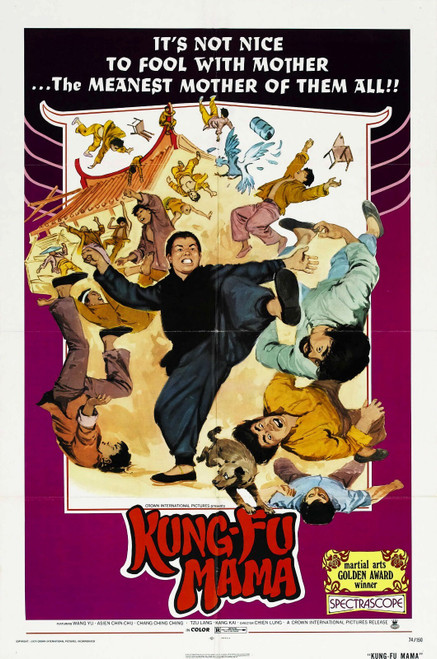 Kung Fu Mama 01 Poster Canvas Movie Film Print A0 A1 A2 A3 A4 A5 A6 Art Wall Dec