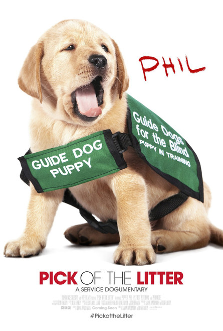 Pick of the Litter (2018)_4 Poster Canvas Movie Film Print A0 A1 A2 A3 A4 A5 A6