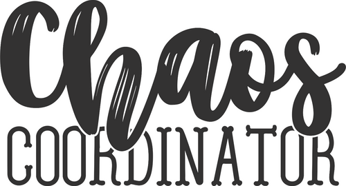 003SC Chaos Coordinator Funny Poster Design Canvas Motivation Print A0 A1 A2 A3