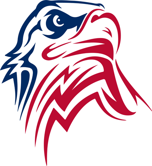 eagle of 4th July (2) Poster Canvas Movie Film Print A0 A1 A2 A3 A4 A5 A6 Art Wa