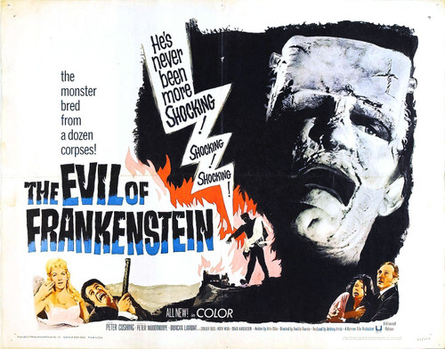 Evil Of Frankenstein 03 Poster Canvas Movie Film Print A0 A1 A2 A3 A4 A5 A6 Art