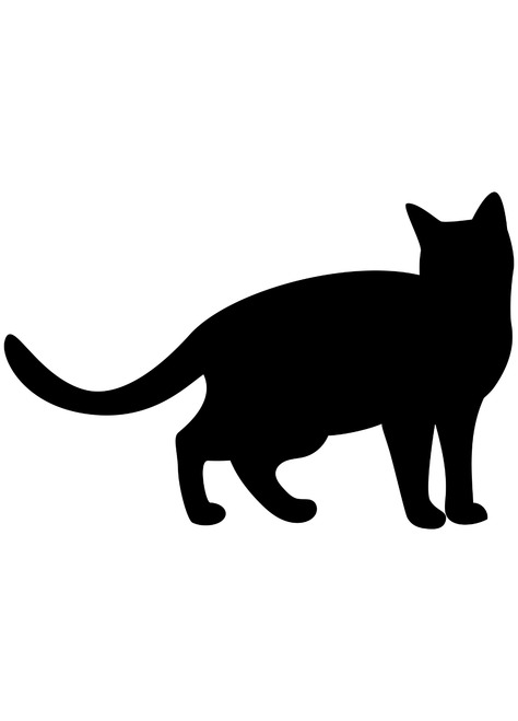 Cat shilhutte 7-01 Poster Canvas Movie Film Print A0 A1 A2 A3 A4 A5 A6 Art Wall