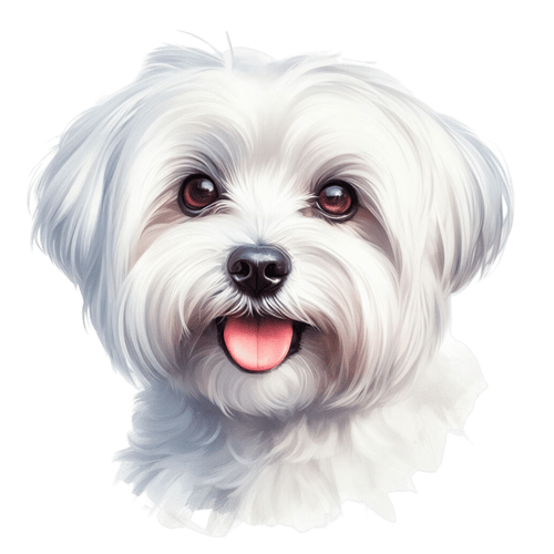 138 Maltese Poster Canvas Movie Film Print A0 A1 A2 A3 A4 A5 A6 Art Wall Decorat