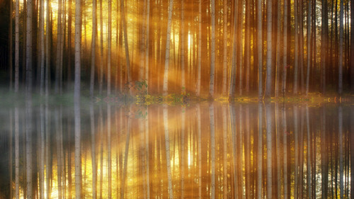 trees-lakes-sunbeams-9r-5120x2880 Poster Canvas Movie Film Print A0 A1 A2 A3 A4