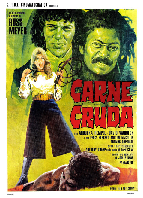 Black Snake 04 Poster Canvas Movie Film Print A0 A1 A2 A3 A4 A5 A6 Art Wall Deco