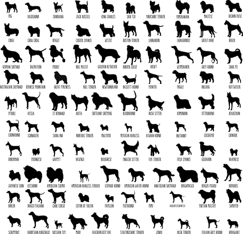 Dog Breed Poster Canvas Movie Film Print A0 A1 A2 A3 A4 A5 A6 Art Wall Decoratio