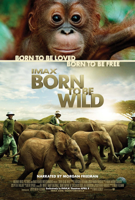 Born to Be Wild (2011)_0 Movie Film Poster Canvas iconic design