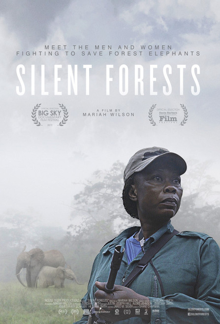 Silent Forests (2019)_0 Poster Canvas Movie Film Print A0 A1 A2 A3 A4 A5 A6 Art