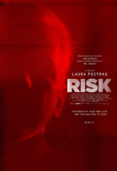 Risk (2017)_0 Poster Canvas Movie Film Print A0 A1 A2 A3 A4 A5 A6 Art Wall Decor