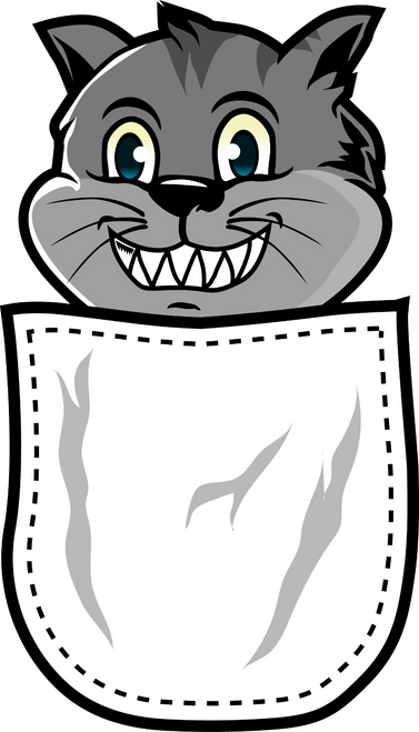 13. Cool Cat-Front Fun Gift Poster Canvas Print A0 A1 A2 A3 A4 A5 A6 Art Wall De