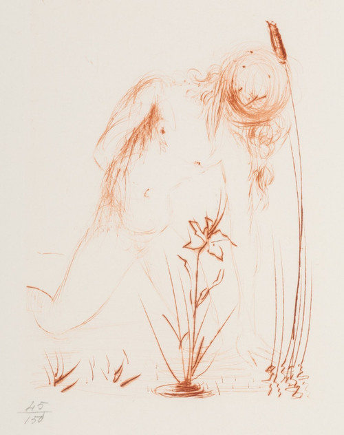 Salvador Dalí (1904-1989). Narcissus, from Album, 1968 Poster Canvas Movie Film