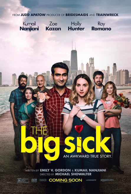 The Big Sick (2017)_1 Poster Canvas Movie Film Print A0 A1 A2 A3 A4 A5 A6 Art Wa