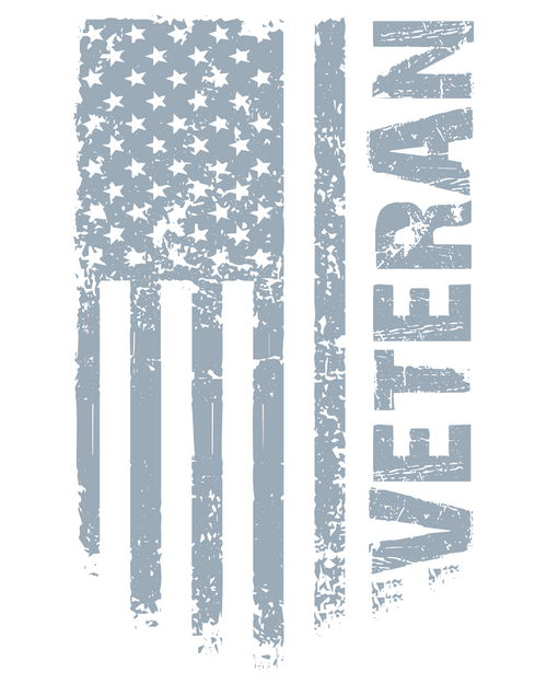 Veteran-02 (3) Poster Canvas Movie Film Print A0 A1 A2 A3 A4 A5 A6 Art Wall Deco