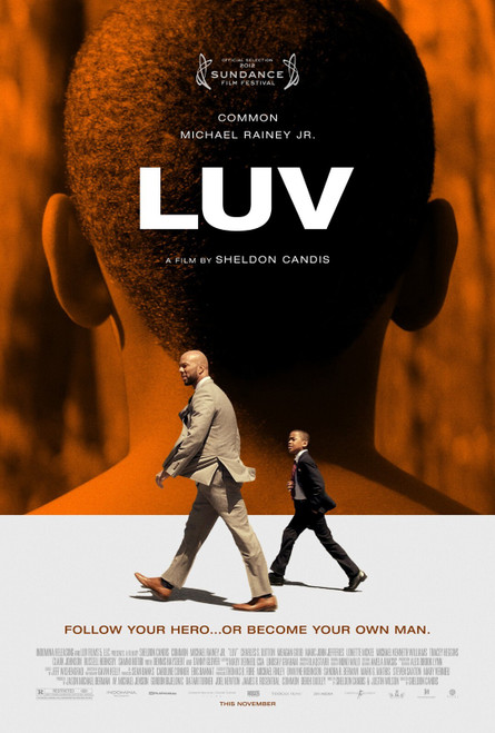 LUV (2013)_2 Poster Canvas Movie Film Print A0 A1 A2 A3 A4 A5 A6 Art Wall Decora