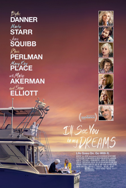 I_ll See You in My Dreams (2015)_0 Poster Canvas Movie Film Print A0 A1 A2 A3 A4