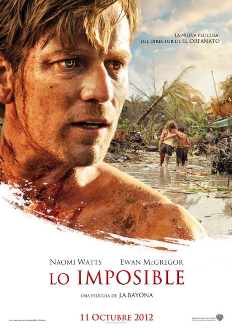 The Impossible (2012)_2 Poster Canvas Movie Film Print A0 A1 A2 A3 A4 A5 A6 Art
