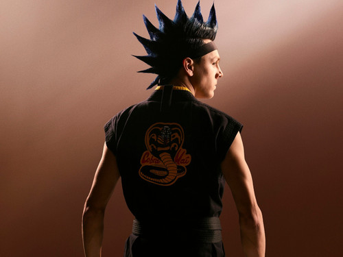 cobra-kai-season-2 Poster Canvas Movie Film Print A0 A1 A2 A3 A4 A5 A6 Art Wall