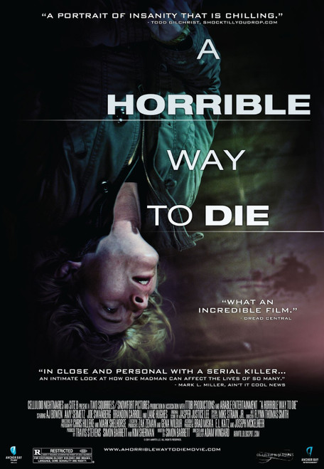 A Horrible Way to Die (2011)_3 Movie Film Poster Canvas iconic design