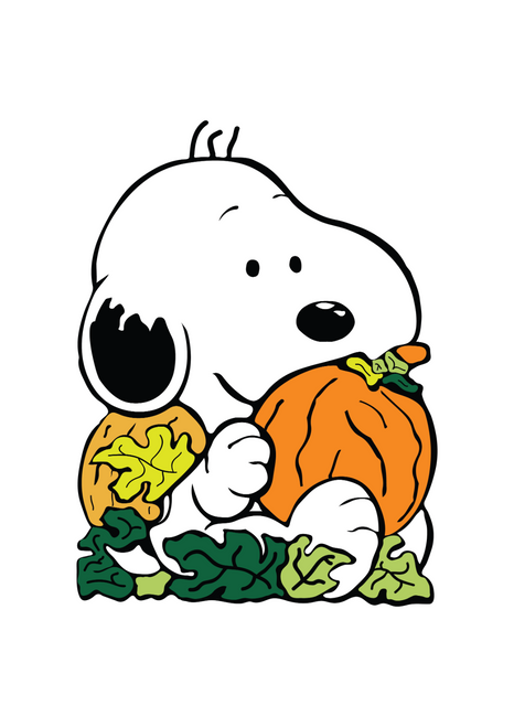 Snoopy Thanksgiving (2) Poster Canvas Movie Film Print A0 A1 A2 A3 A4 A5 A6 Art
