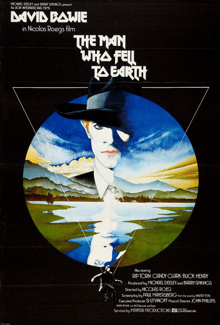 The Man Who Fell to Earth (1976)_3 Poster Canvas Movie Film Print A0 A1 A2 A3 A4