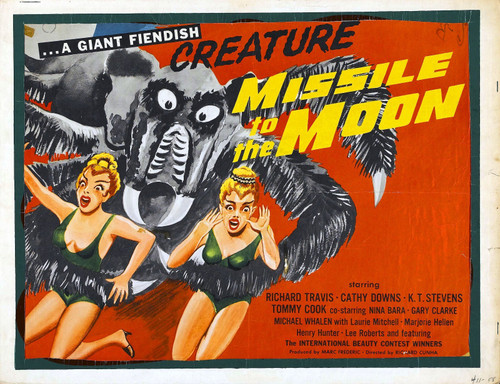 Missile To Moon 03 Poster Canvas Movie Film Print A0 A1 A2 A3 A4 A5 A6 Art Wall
