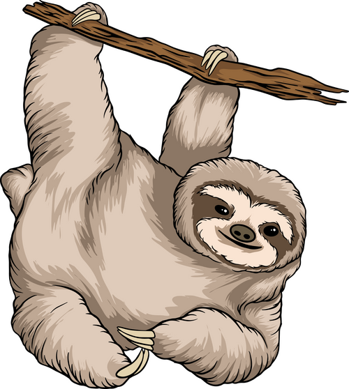 Sloth 9 Poster Canvas Movie Film Print A0 A1 A2 A3 A4 A5 A6 Art Wall Decoration