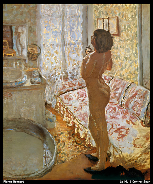 pierre-bonnard - -le-nu - contre-jour_upscaled Poster Canvas Movie Film Print A0