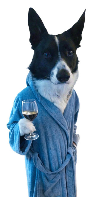 s-l1600 (1) (8) Poster Canvas Movie Film Print A0 A1 A2 A3 A4 A5 A6 Art Wall Dec