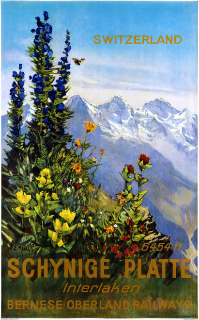 49785634396_HODEL, Ernst (1881-1955). Switzerland, Schynige Platte, Interlaken,