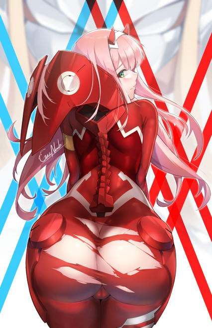 Zero Two Torn Suit Booty Anime E Girl Poster Canvas Movie Film Print A0 A1 A2 A3