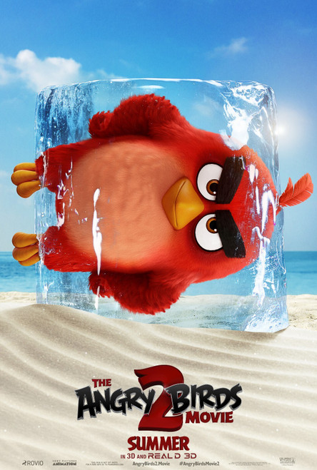 The Angry Birds Movie 2 (2019)_2 Poster Canvas Movie Film Print A0 A1 A2 A3 A4 A