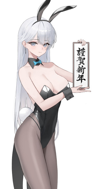 Silver-Haired Bunny Anime E Girl (4) Poster Canvas Movie Film Print A0 A1 A2 A3