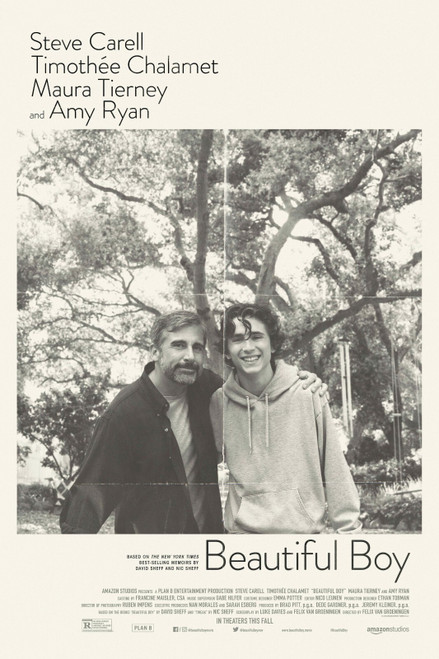 Beautiful Boy Poster Canvas Movie Film Print A0 A1 A2 A3 A4 A5 A6 Art Wall Deco