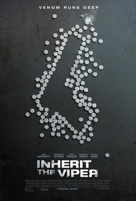 Inherit the Viper (2020)_1 Poster Canvas Movie Film Print A0 A1 A2 A3 A4 A5 A6 A