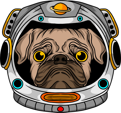 Animal 4 Fun Gift Poster Canvas Print A0 A1 A2 A3 A4 A5 A6 Art Wall Decoration