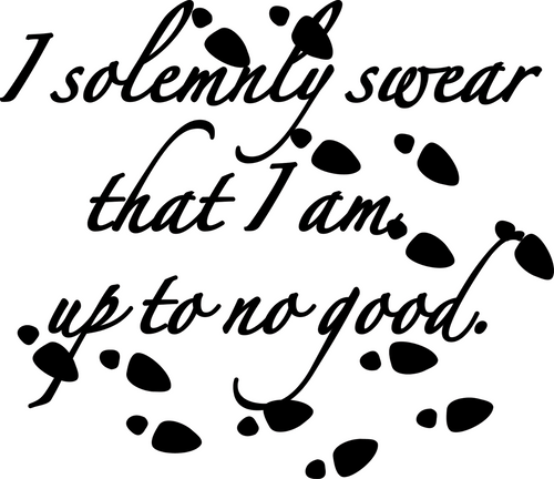 18_ I Solemnly Swear Poster Canvas Movie Film Print A0 A1 A2 A3 A4 A5 A6 Art Wal