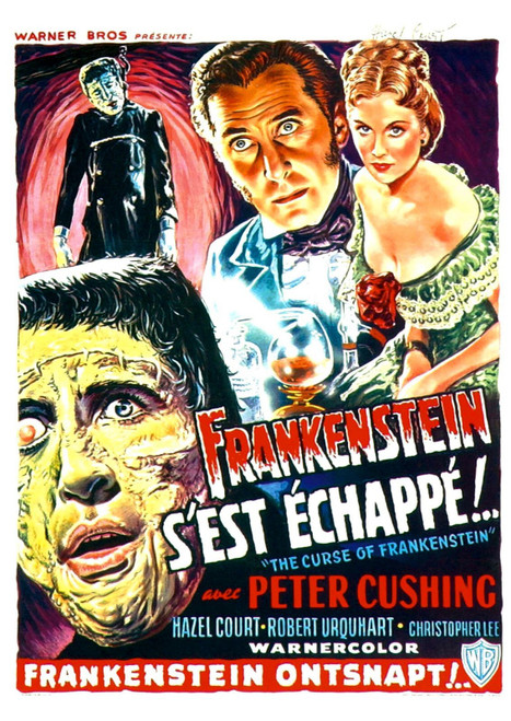 Curse Of Frankenstein 04 Poster Canvas Print Art Painting Decor Reprint wall A0