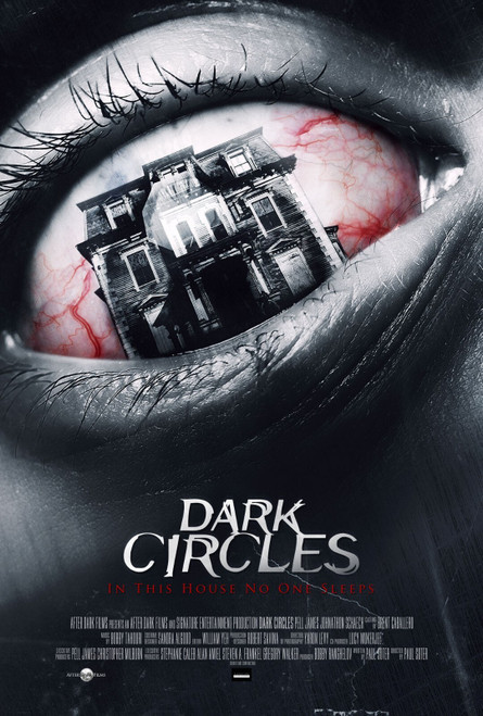 Dark Circles (2013)_0 Movie Film Poster Canvas iconic design