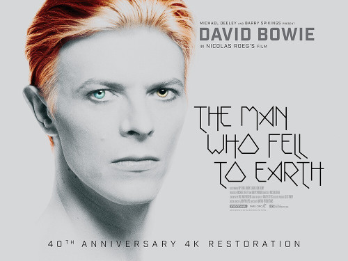 The Man Who Fell to Earth (1976)_4 Poster Canvas Movie Film Print A0 A1 A2 A3 A4