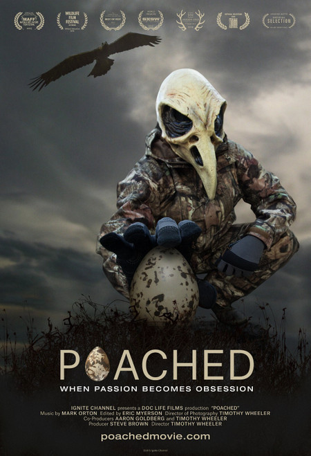 Poached (2015)_0 Poster Canvas Movie Film Print A0 A1 A2 A3 A4 A5 A6 Art Wall De
