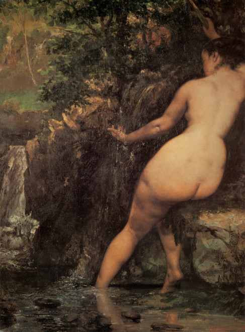Courbet_The_Source_detail Poster Canvas Print Art Painting Decor Reprint wall A0