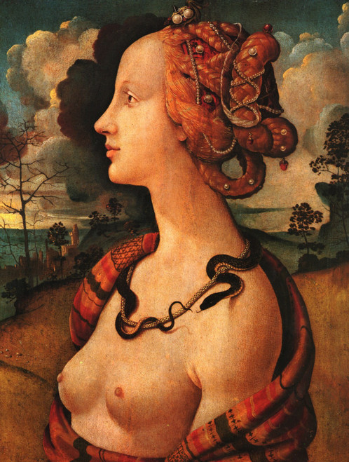 Piero_di_Cosimo_Portrait_of_Simonetta_Vespucci_c1480 Poster Canvas Movie Film Pr