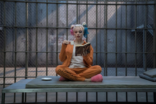 harley queen 5 Poster Canvas Movie Film Print A0 A1 A2 A3 A4 A5 A6 Art Wall Deco