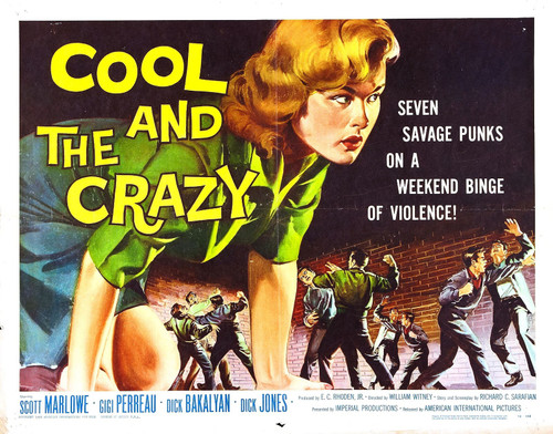 Cool And Crazy 02 Poster Canvas Print Art Painting Decor Reprint wall A0 A1 A2 A