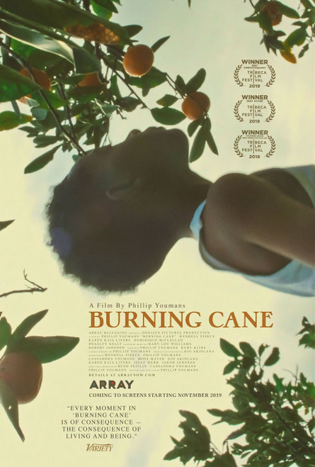 Burning Cane (2019)_0 Movie Film Poster Canvas iconic design