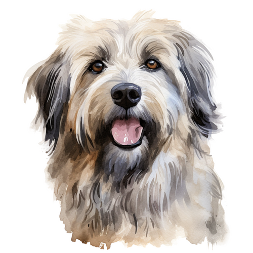 Pyrenean Shepherd (1) Poster Canvas Movie Film Print A0 A1 A2 A3 A4 A5 A6 Art Wa