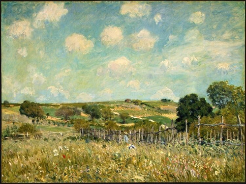 Alfred-Sisley-meadow-1875 Poster Canvas Print Art Painting Decor Reprint wall A0