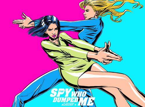 The Spy Who Dumped Me (2018)_15 Poster Canvas Movie Film Print A0 A1 A2 A3 A4 A5