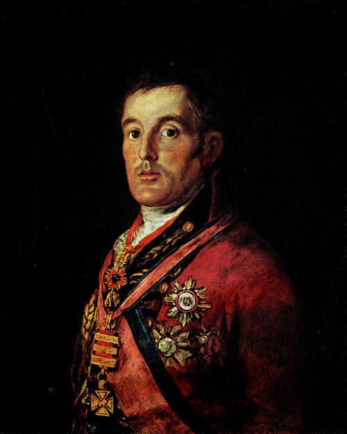 Goya - Portrait of Wellington 1812 Poster Canvas Movie Film Print A0 A1 A2 A3 A4